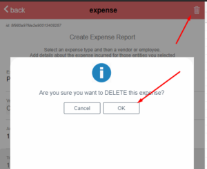 how to delete an expense 