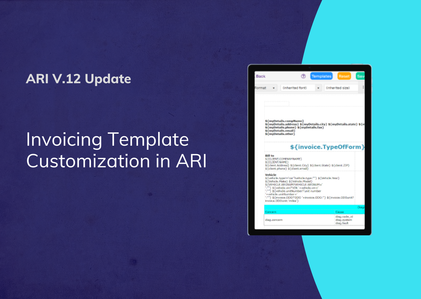 Invoice Template Customization – ARI v.12